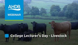 College Lecturer's Day - Livestock